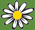 Senior Care Services