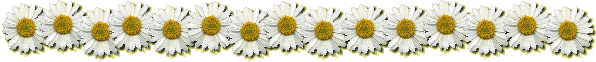 Queensbury Senior Citizen Home Care
